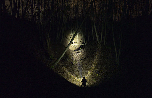 Изображение товара Фонарь Armytek Bear WRG / F09901C