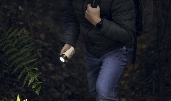 Изображение товара Фонарь Armytek Bear WRG / F09901C