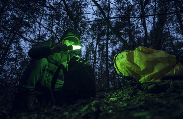 Изображение товара Фонарь Armytek Bear WRG / F09901C