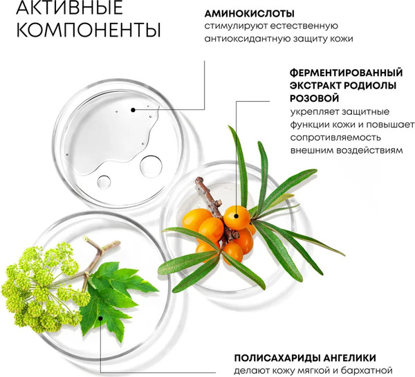 Изображение товара Крем для лица Natura Siberica Lab Biome Amino Acid ночной (50мл)