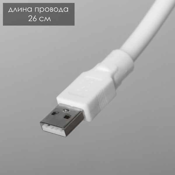 Изображение товара Ночник Risalux Сомани / 9430837