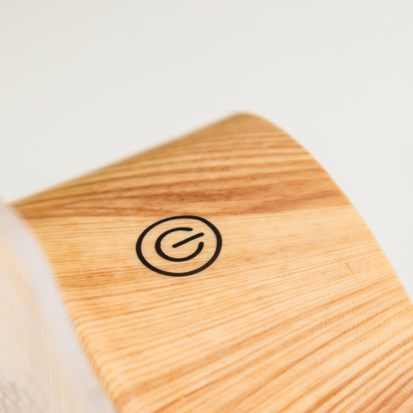 Изображение товара Ночник Risalux Глобус / 9809243