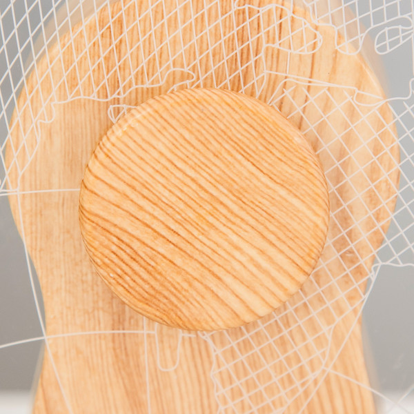 Изображение товара Ночник Risalux Глобус / 9809243