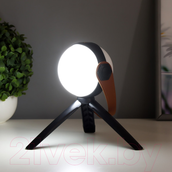 Изображение товара Декоративное освещение Risalux Аланди / 10193689