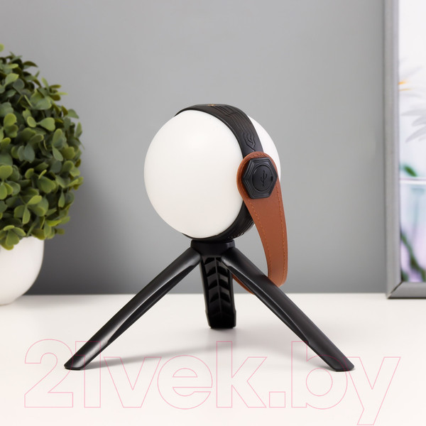 Изображение товара Декоративное освещение Risalux Аланди / 10193689