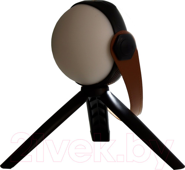 Изображение товара Декоративное освещение Risalux Аланди / 10193689