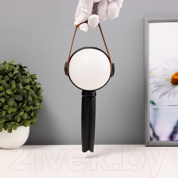 Изображение товара Декоративное освещение Risalux Аланди / 10193689