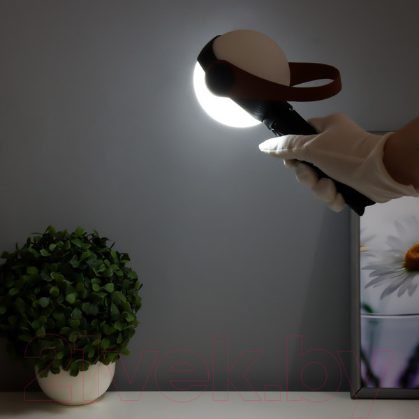 Изображение товара Декоративное освещение Risalux Аланди / 10193689