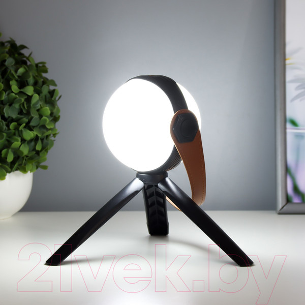 Изображение товара Декоративное освещение Risalux Аланди / 10193689