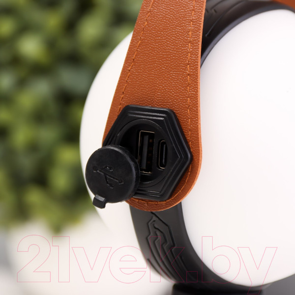 Изображение товара Декоративное освещение Risalux Аланди / 10193689