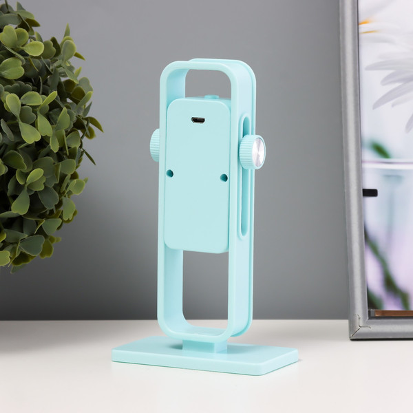 Изображение товара Ночник Risalux Рудс / 10400877