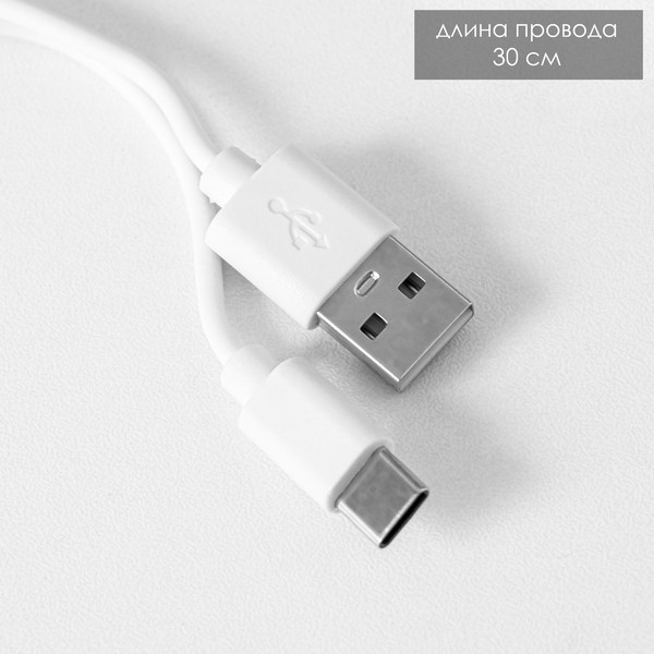 Изображение товара Декоративное освещение Risalux Фулли / 10184723