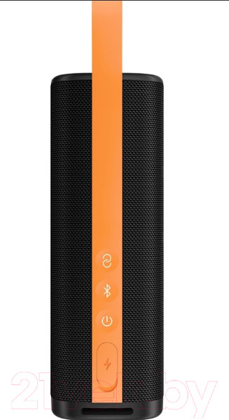 Изображение товара Портативная колонка Xiaomi Sound Outdoor 30W MDZ-38-DB / QBH4261GL (черный)