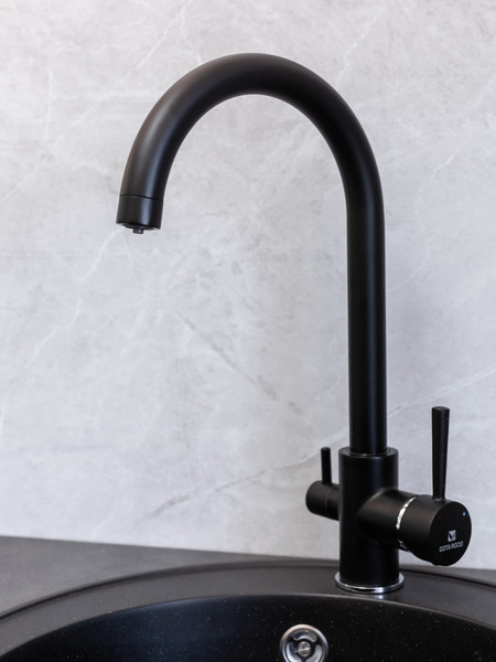 Изображение товара Смеситель Gota Rocio Special 351211-GOTA (черный)