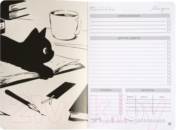 Изображение товара Ежедневник Lorex Naughty Cat / LXDRA5-NC (72л)