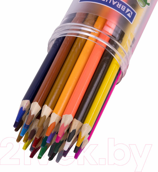 Изображение товара Набор акварельных карандашей Brauberg Premium Aquarelle / 181933 (36цв)