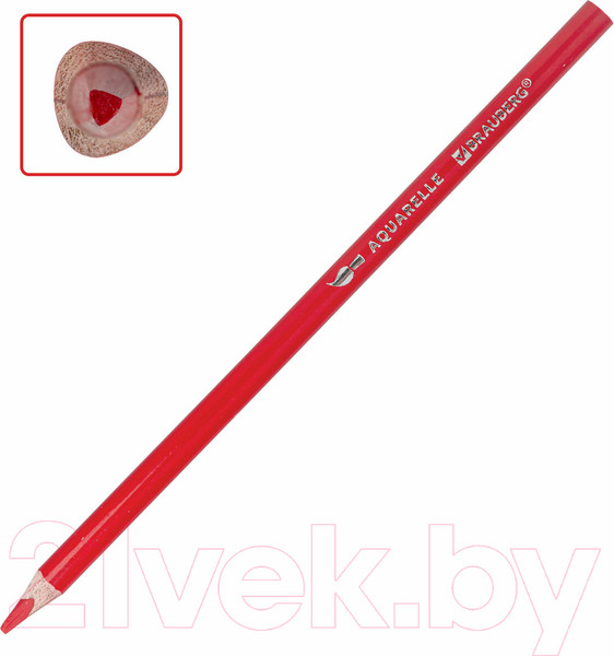 Изображение товара Набор акварельных карандашей Brauberg Premium Aquarelle / 181933 (36цв)