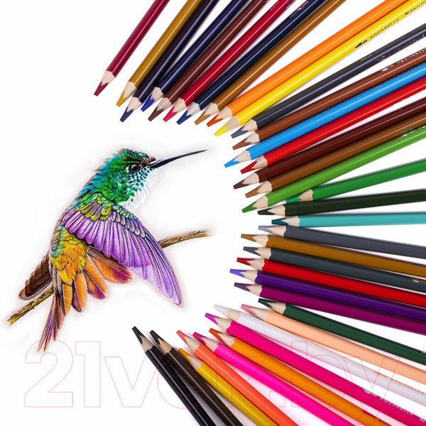 Изображение товара Набор акварельных карандашей Brauberg Premium Aquarelle / 181933 (36цв)