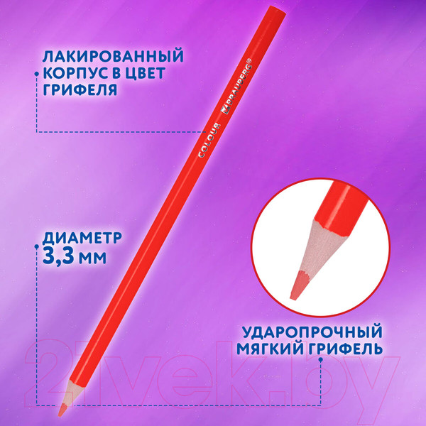 Изображение товара Набор цветных карандашей Brauberg Premium / 181934 (36цв)