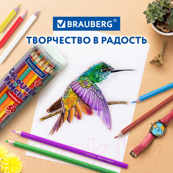 Изображение товара Набор цветных карандашей Brauberg Premium / 181934 (36цв)