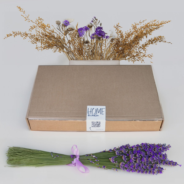 Изображение товара Поднос-столик Dipriz Д.7562.4