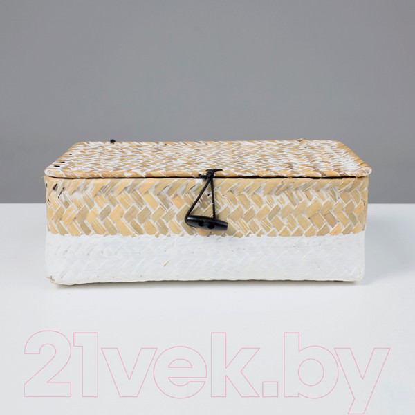 Изображение товара Коробка для хранения AksHome Dilon 24x14x8 (бежевый)