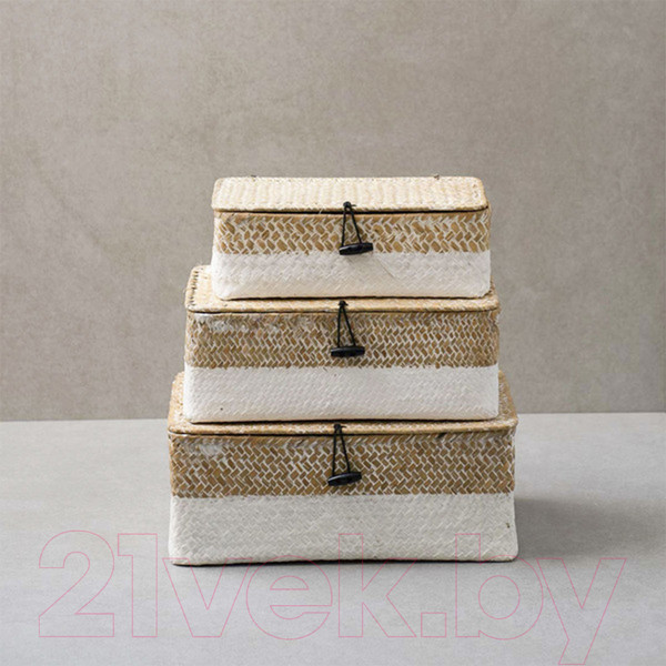 Изображение товара Коробка для хранения AksHome Dilon 24x14x8 (бежевый)