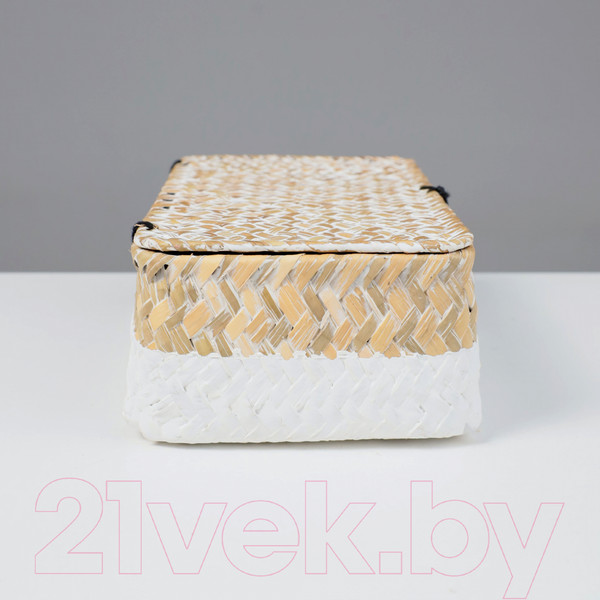 Изображение товара Коробка для хранения AksHome Dilon 24x14x8 (бежевый)