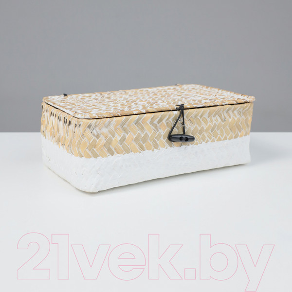 Изображение товара Коробка для хранения AksHome Dilon 24x14x8 (бежевый)