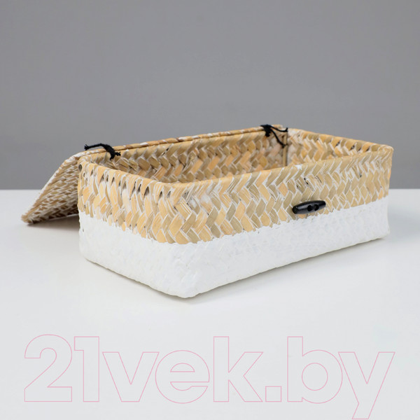 Изображение товара Коробка для хранения AksHome Dilon 24x14x8 (бежевый)