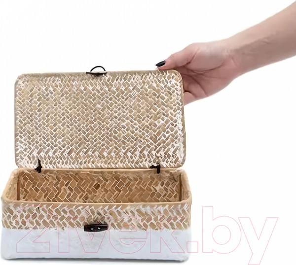 Изображение товара Коробка для хранения AksHome Dilon 24x14x8 (бежевый)