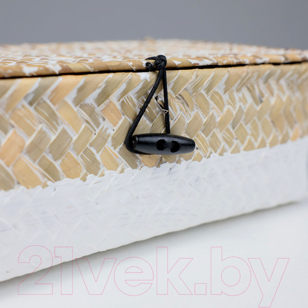 Изображение товара Коробка для хранения AksHome Dilon 24x14x8 (бежевый)