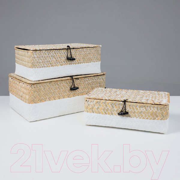 Изображение товара Коробка для хранения AksHome Dilon 24x14x8 (бежевый)