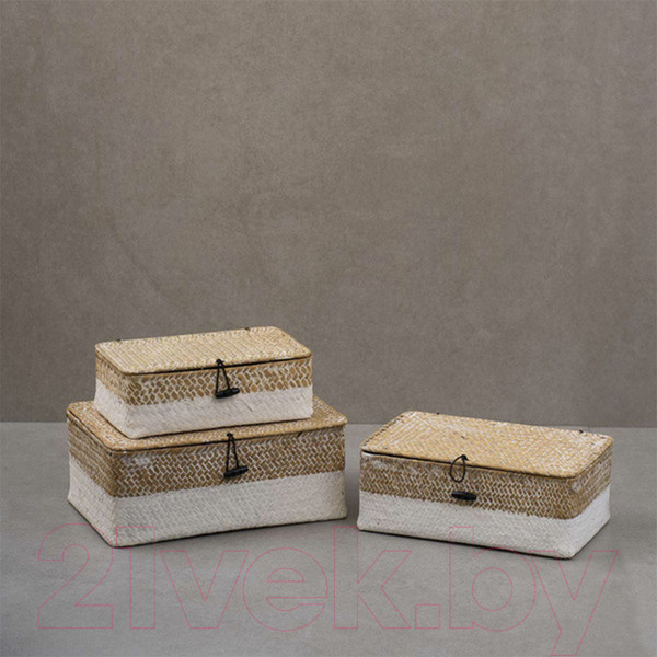 Изображение товара Коробка для хранения AksHome Dilon 24x14x8 (бежевый)