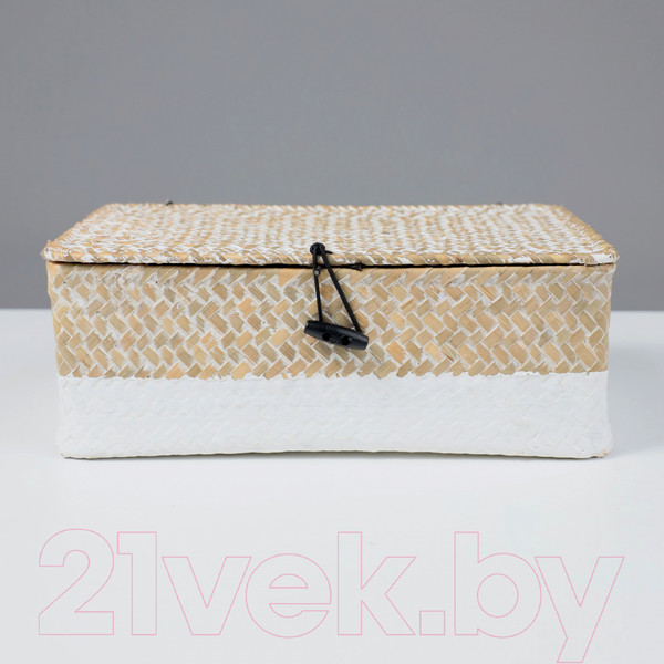 Изображение товара Коробка для хранения AksHome Dilon 27x17x10 (бежевый)