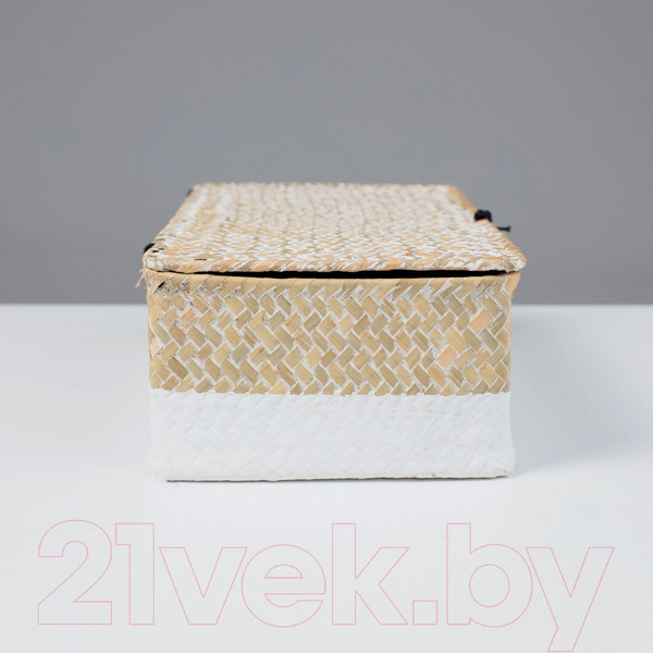 Изображение товара Коробка для хранения AksHome Dilon 27x17x10 (бежевый)