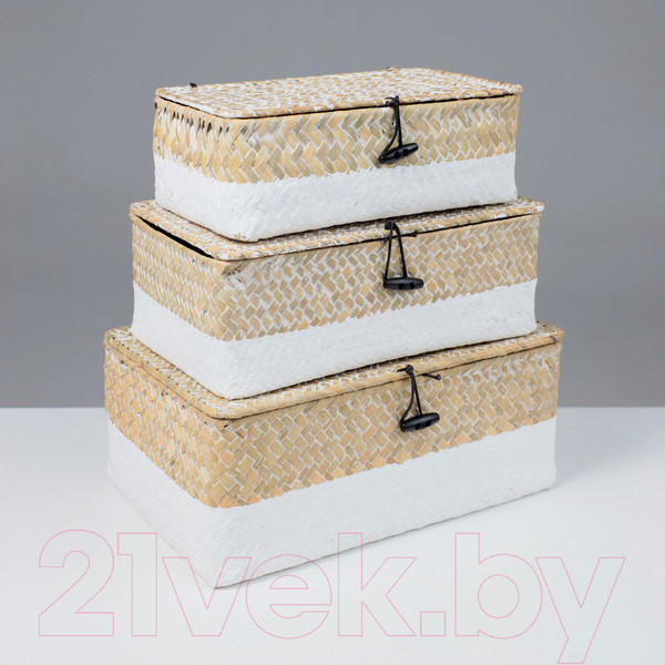 Изображение товара Коробка для хранения AksHome Dilon 27x17x10 (бежевый)