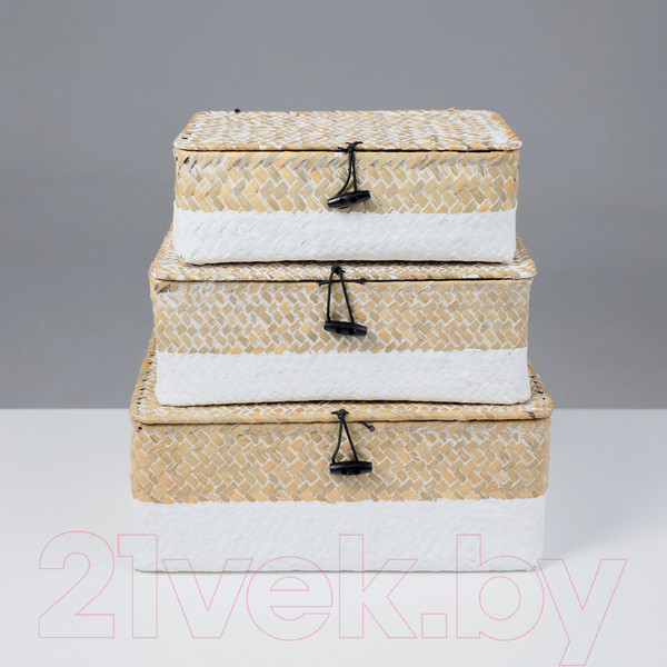 Изображение товара Коробка для хранения AksHome Dilon 27x17x10 (бежевый)