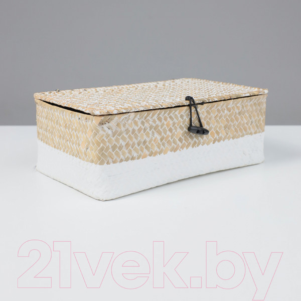 Изображение товара Коробка для хранения AksHome Dilon 27x17x10 (бежевый)