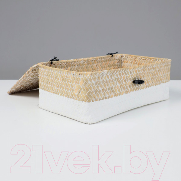 Изображение товара Коробка для хранения AksHome Dilon 27x17x10 (бежевый)