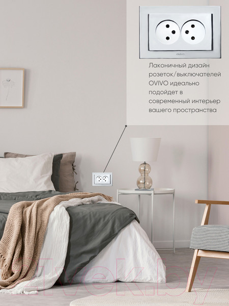 Изображение товара Розетка Ovivo Mina 401-100300-908 (серебристый)