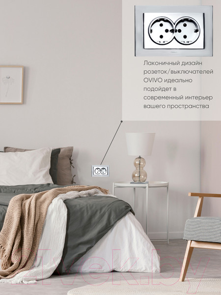Изображение товара Розетка Ovivo Mina 401-100300-907 (серебристый)