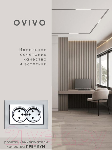 Изображение товара Розетка Ovivo Mina 401-100300-907 (серебристый)