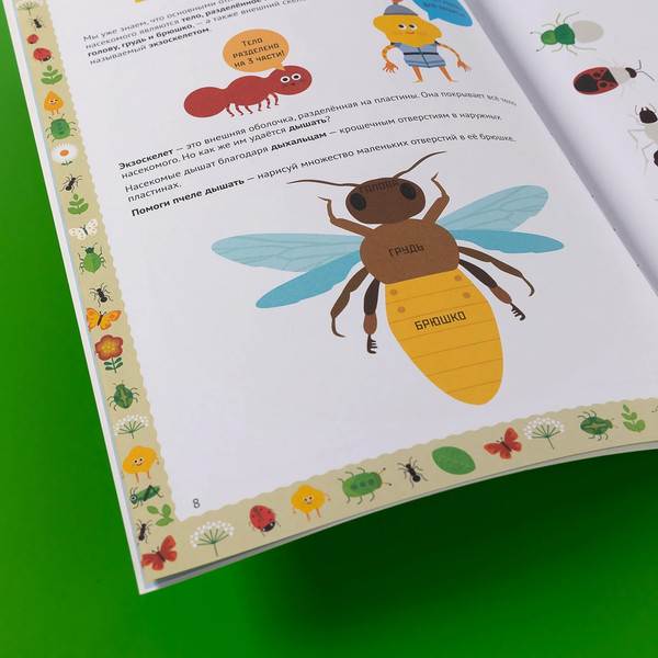 Изображение товара Развивающая книга Альпина Умные открытия. Насекомые / 9785961493825