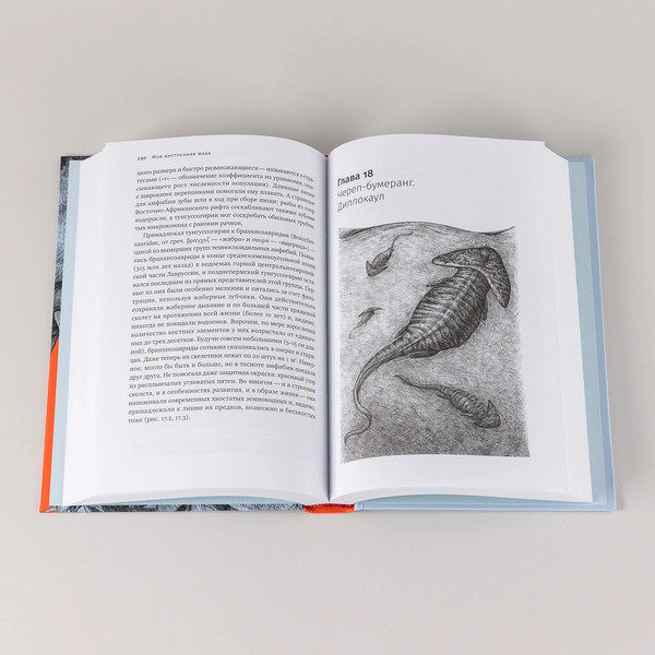 Изображение товара Книга Альпина Как живые, твердая обложка (Журавлев Андрей)