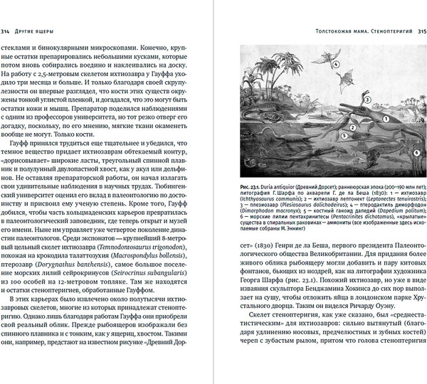Изображение товара Книга Альпина Как живые, твердая обложка (Журавлев Андрей)