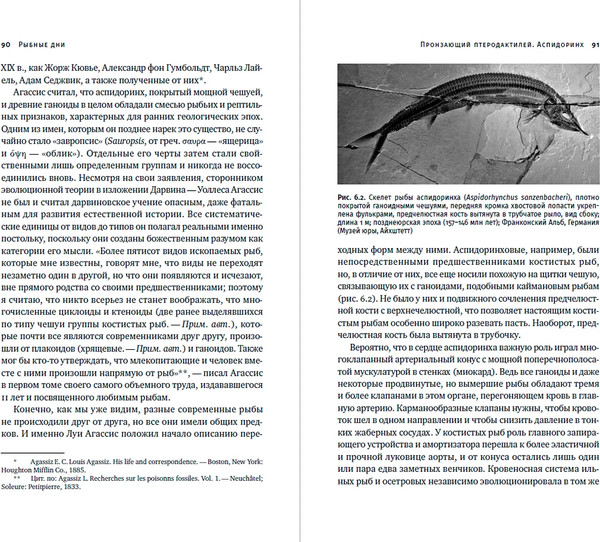 Изображение товара Книга Альпина Как живые, твердая обложка (Журавлев Андрей)