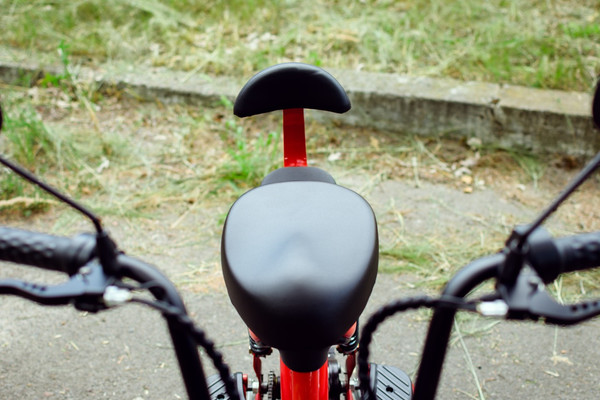 Изображение товара Электровелосипед AVM Delta Pro (красный)