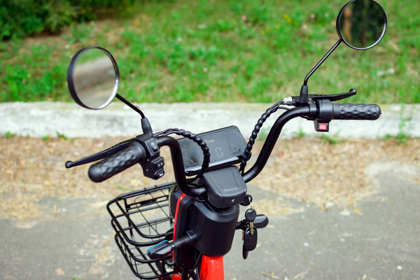 Изображение товара Электровелосипед AVM Delta Pro (красный)