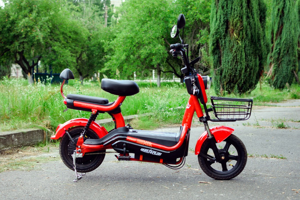 Изображение товара Электровелосипед AVM Delta Pro (красный)